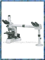 ACCU-SCOPE 3025-2 Microscope Dual Viewing, Side to Side Multi-Observation System